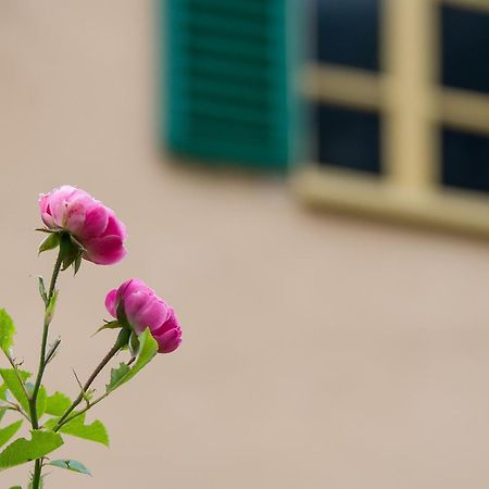 Bed and Breakfast Ca'D'Ambra Groscavallo Esterno foto