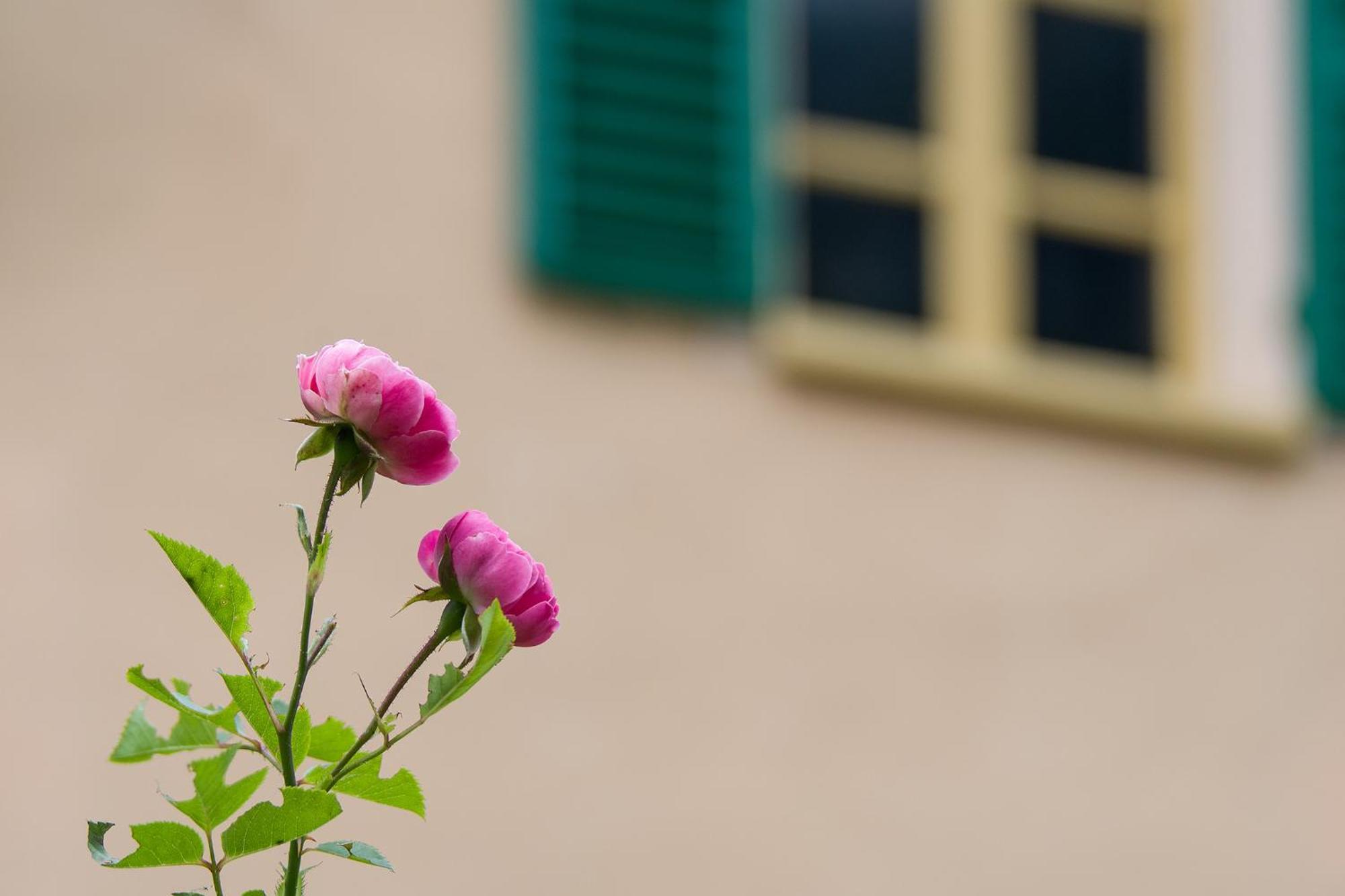 Bed and Breakfast Ca'D'Ambra Groscavallo Esterno foto